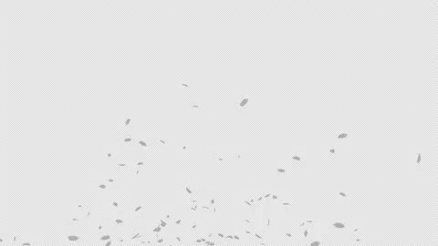 Feather Burst 4 Pack on Alpha Channel Stock Footage 211341744