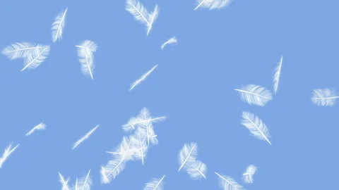 Feather Burst on Background Stock Footage 263939590
