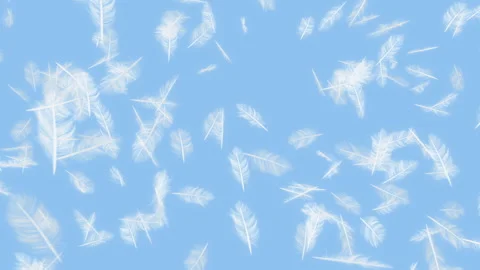 Feather Burst on Pastes Stock Footage 270289355