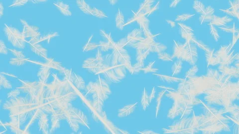 Feather Burst on Pastes Stock Footage 273658750