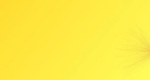 Feather burst on warm yellow background Illustrazione stock