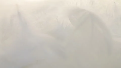 Feather close shot moving in light 스톡 동영상 158964093