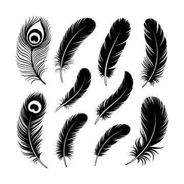 Feather Collection Silhouette Vector Set with Peacock Feather Icons Stock Illustration