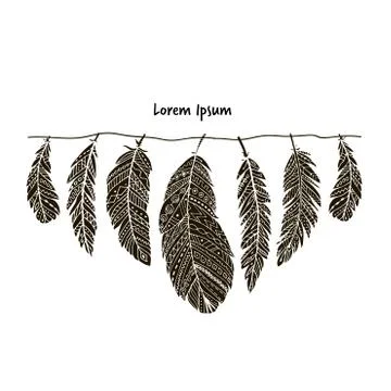 Feather collection for your design Stock Illustration