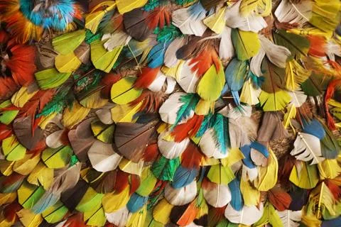 Feather color texture Stock Photos