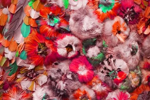 Feather color texture Stock Photos