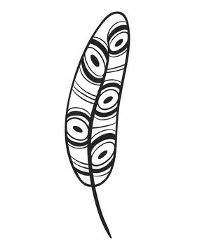 Feather decorated with circles and lines vector illustration. Ilustração Stock