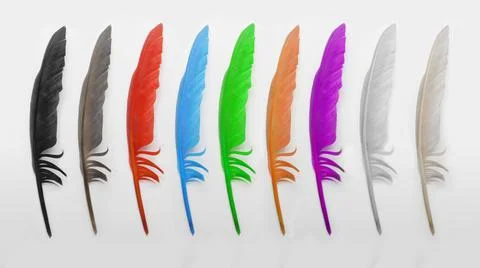 Feather in different colors isolated on white background Stock Illustration