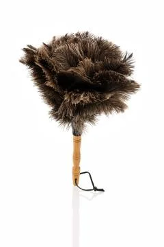 Feather duster against white background Stock Photos