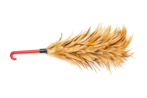 Feather duster for cleaning isolated on white background. Foto stock