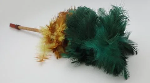 Feather duster isolated on white background. Stock Photos