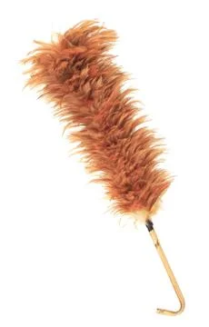 Feather duster Stock Photos
