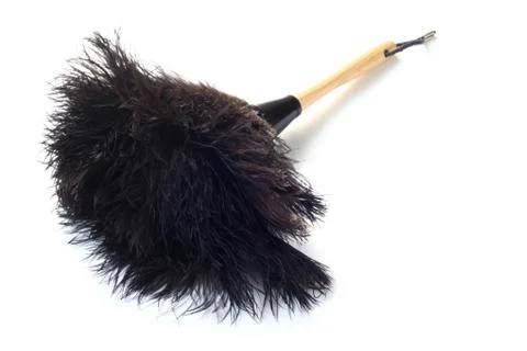 Feather Duster Stock Photos