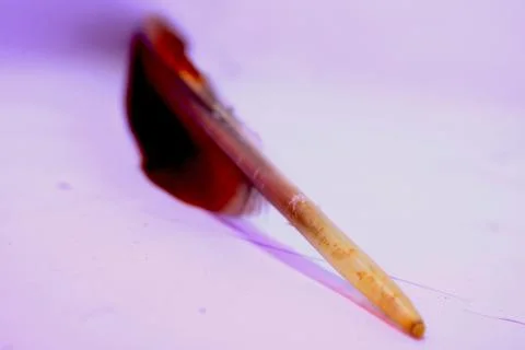 Feather of eagle on writing angle 写真素材