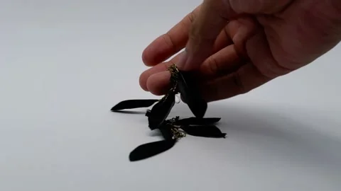 Feather earrings Stock Footage 221134814