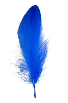 Feather elegant puff isolated on the white background Stock Photos