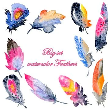 Feather element big set. Hand drawn watercolor illustration. Stock Illustration
