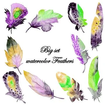 Feather element big set. Hand drawn watercolor illustration. Stock Illustration
