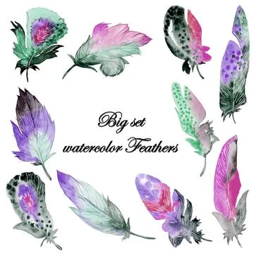 Feather element big set. Hand drawn watercolor illustration. Stock Illustration