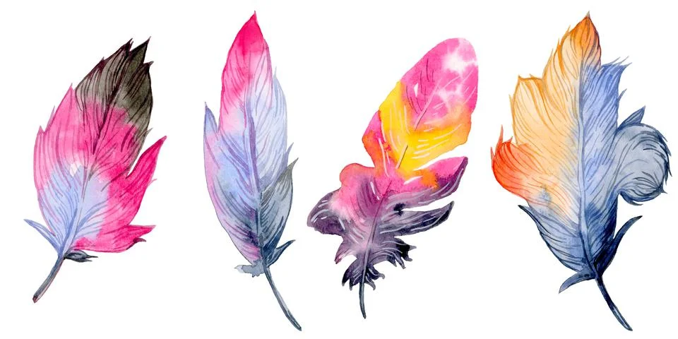 Feather element set. Hand drawn watercolor illustration. Stock Illustration