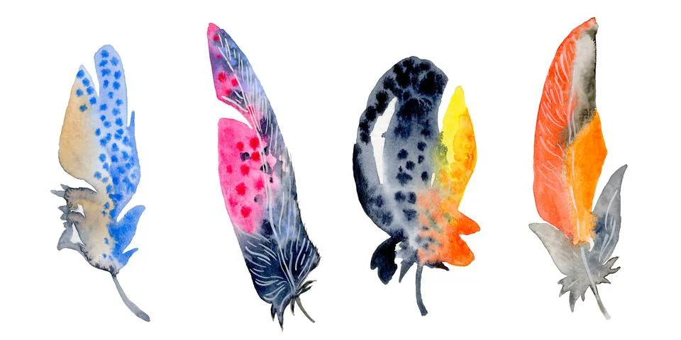 Feather element set. Hand drawn watercolor illustration. Stock Illustration