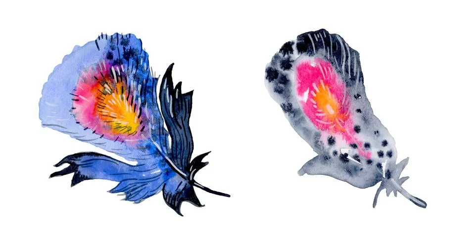 Feather element set. Hand drawn watercolor illustration. Stock Illustration