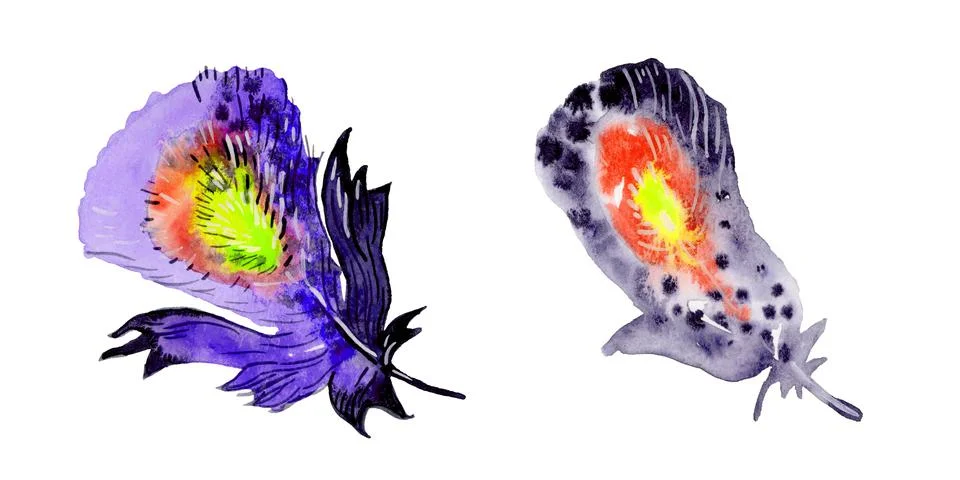 Feather element set. Hand drawn watercolor illustration. Stock Illustration