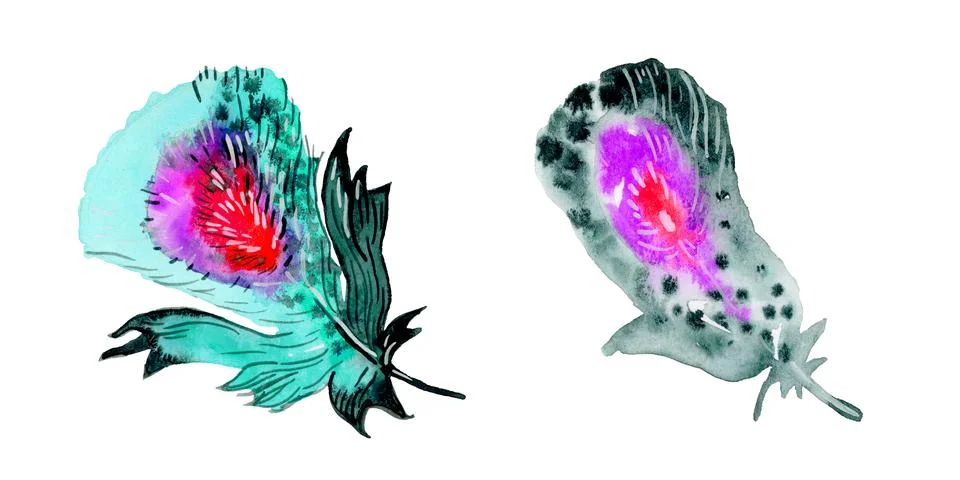 Feather element set. Hand drawn watercolor illustration. Stock Illustration