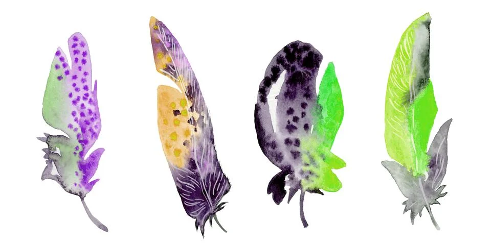 Feather element set. Hand drawn watercolor illustration. Stock Illustration