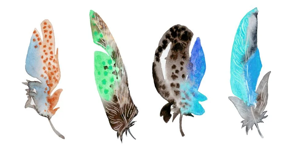 Feather element set. Hand drawn watercolor illustration. Stock Illustration