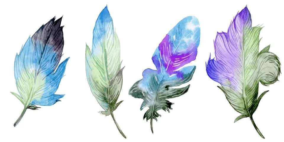 Feather element set. Hand drawn watercolor illustration. Stock Illustration