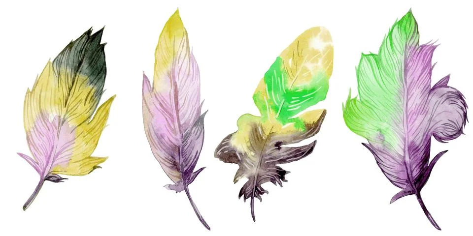 Feather element set. Hand drawn watercolor illustration. Stock Illustration