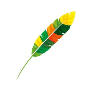 Feather exotic colors icon 库存插图