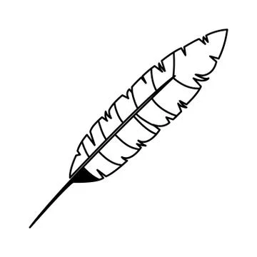 Feather exotic isolated icon 库存插图
