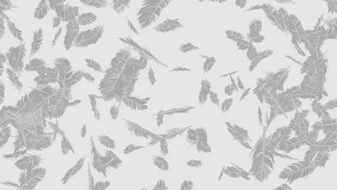 Feather Explosion on Alpha Stock Footage 294484660