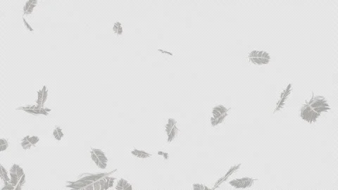 Feather Explosion on Alpha Stock Footage 297850322