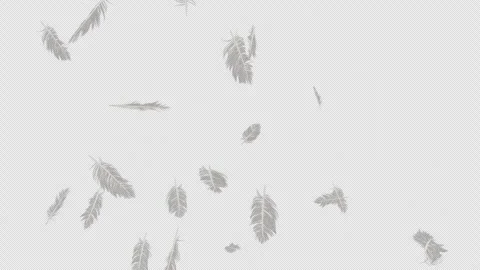 Feather Explosion on Alpha Stock Footage 297850573
