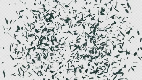 Feather Explosion. Burst of Feathers. Alpha Channel Stock Footage 290173084