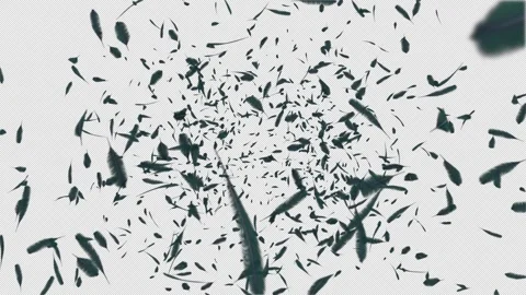 Feather Explosion. Burst of Feathers. Alpha Channel Video stock 293951863