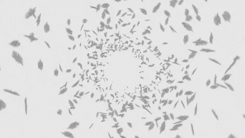 Feather Explosion Stock Footage 240923163
