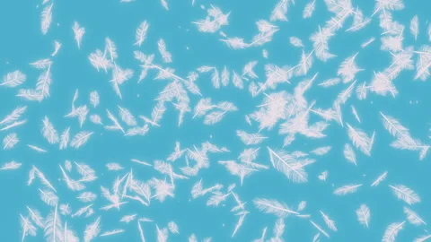 Feather Explosion on Pastels Backgrounds=. Stock Footage 290832161