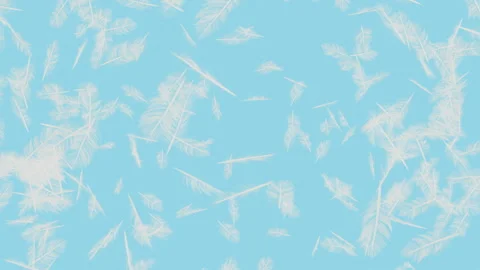 Feather Explosion on Pastels Backgrounds=. Stock Footage 294484088