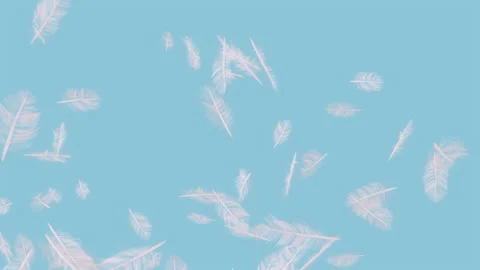 Feather Explosion on Pastels Backgrounds=. Stock Footage 297850468