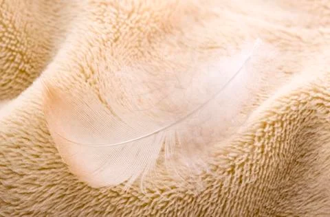 Feather on fabric Fotos Stock