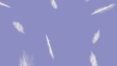 Feather Fall on Pastel Background Stock Footage 243878807