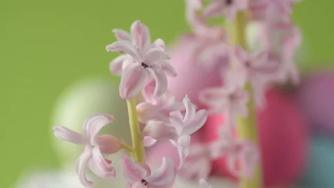 Feather falling on colorful easter eggs Stock Footage 148288101