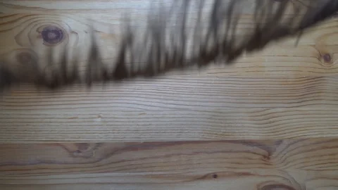 Feather falling down in motion, backdrop sample Stock Footage 93069210