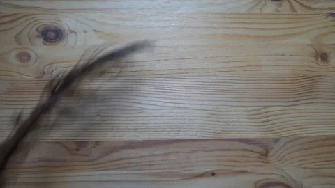 Feather falling down in motion, backdrop sample Stock Footage 93069310