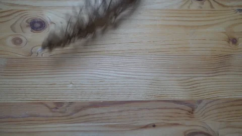 Feather falling down in motion, backdrop sample Stock Footage 93069381