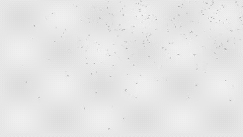 Feather Falling Stock Footage 205124654